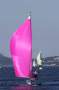 Catalina 275 Sport