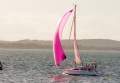 Catalina 275 Sport