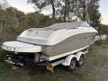 Sea Ray 225 Weekender 80 Hours