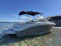 Sea Ray 225 Weekender 80 Hours