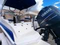 Streaker 5.85 Sports Cruiser