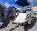 Streaker 5.85 Sports Cruiser
