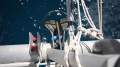 Crowther Windspeed 39