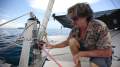 Crowther Windspeed 39