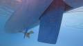 Crowther Windspeed 39