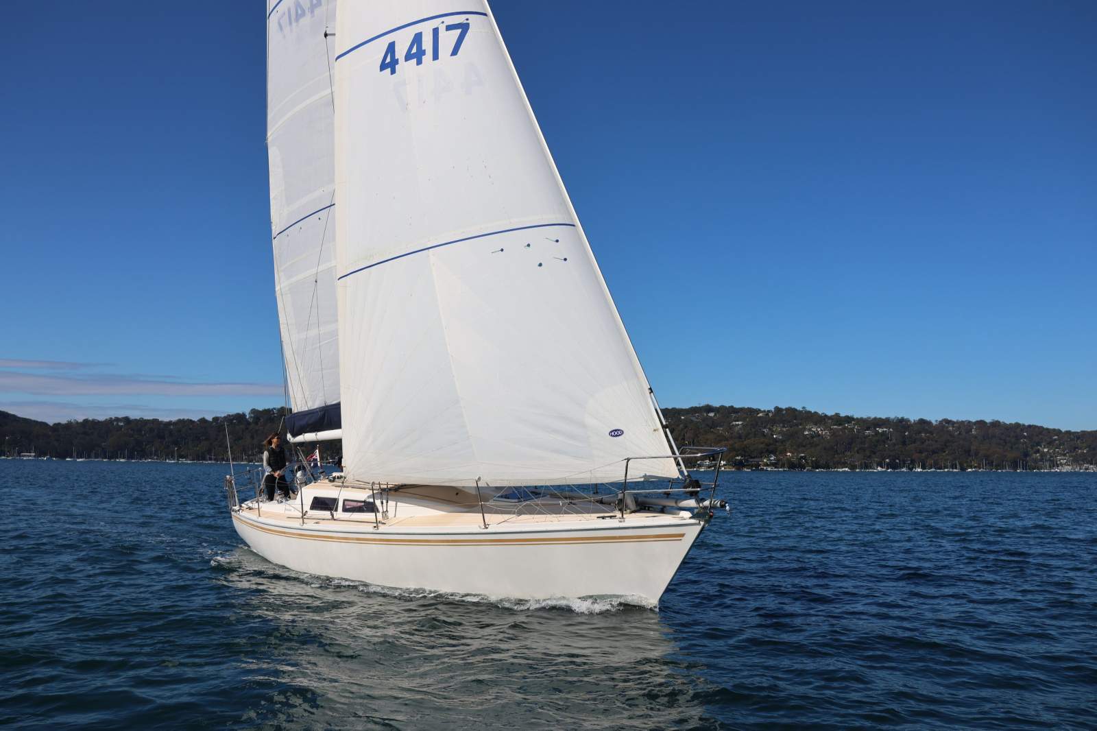 Northshore 38