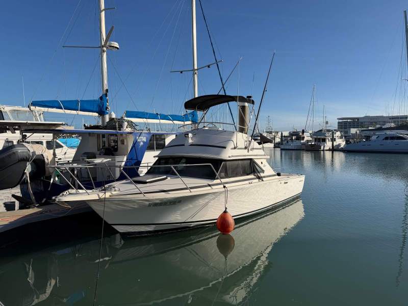 Bertram 28 Flybridge