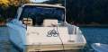 Sea Ray 370 Express Cruiser Twin Diesel
