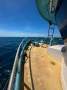 Alloy Spanish Mackerel fishing vessel