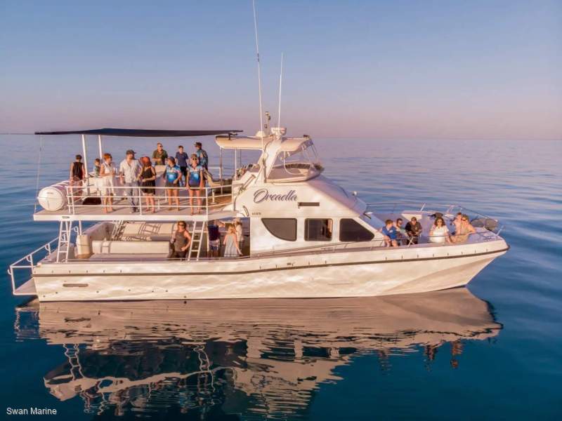 Cougar Cat 15.0 Flybridge in 1B AMSA Survey
