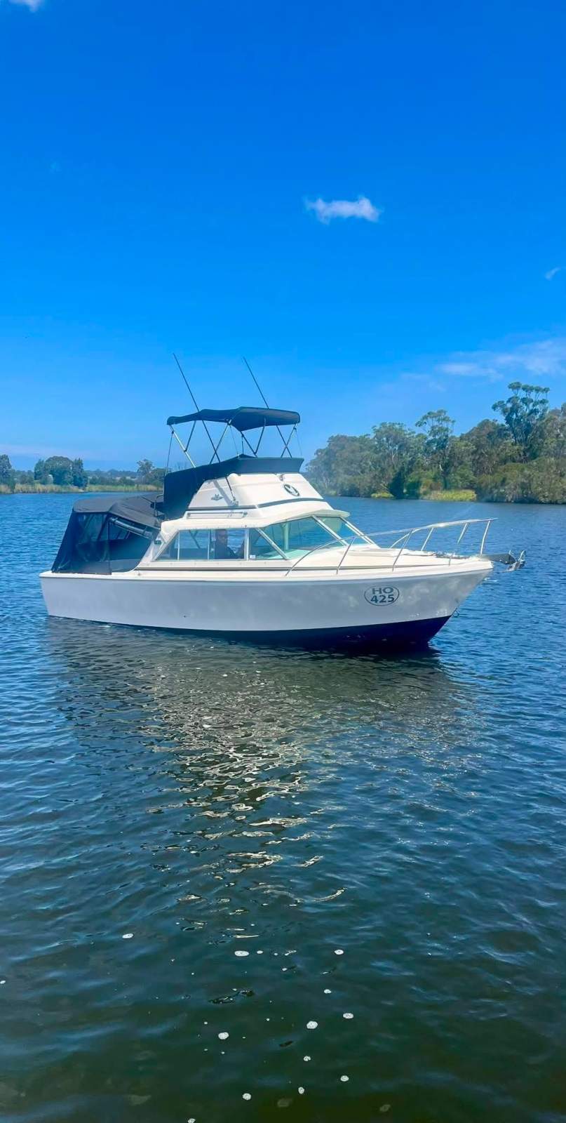Bertram 25 Flybridge