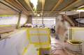 Catamarans International (CI) 21m Custom Power Cat