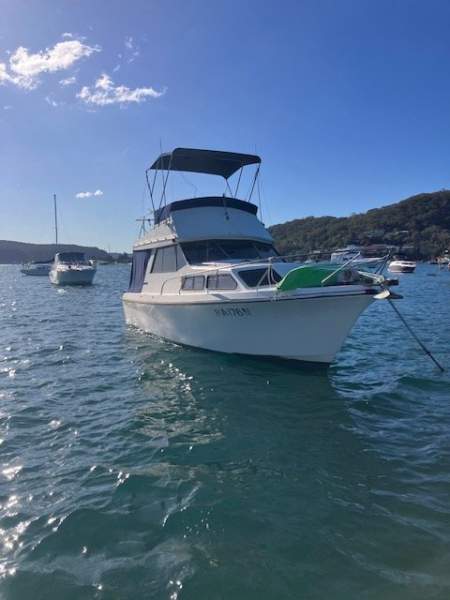 CruiseCraft Executive 800 Flybridge Cruiser