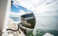 Arvor 805 Sportsfish