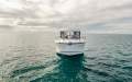 Arvor 805 Sportsfish