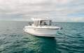 Arvor 805 Sportsfish