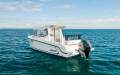 Arvor 805 Sportsfish