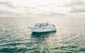Arvor 805 Sportsfish