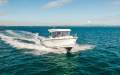Arvor 805 Sportsfish