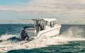 Arvor 805 Sportsfish