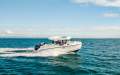Arvor 805 Sportsfish
