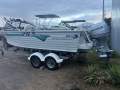 Quintrex 560 Quinnie Classic Awesome fishing platform