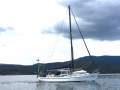 Salar 40