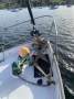 Salar 40