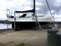 Salar 40