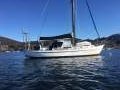 Salar 40