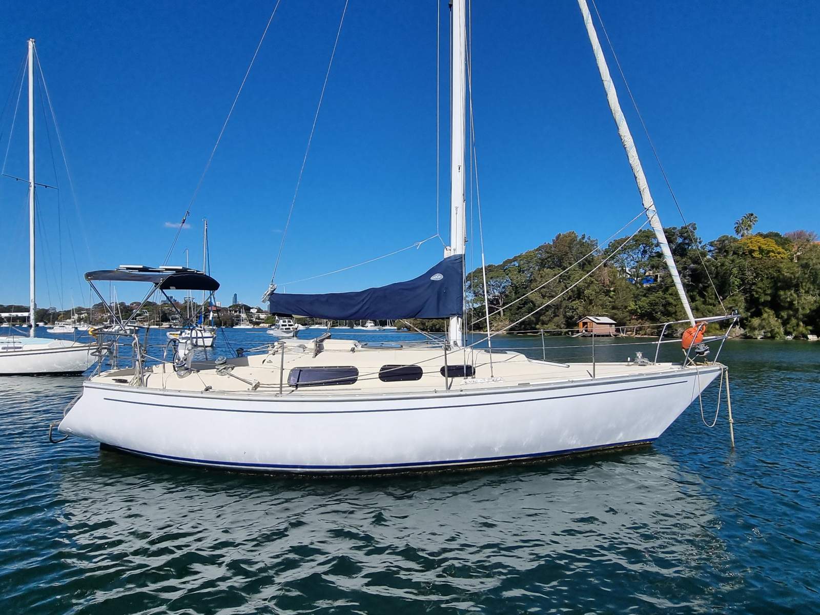 Endeavour 30
