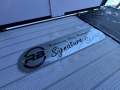 Runaway Bay Pontoon Boats 24ft Tri-hull with 26" outer tubes and 28" centre - Tri Hull with Lifting Strakes