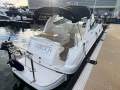 Sea Ray 315 Sundancer