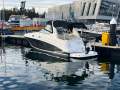 Sea Ray 315 Sundancer