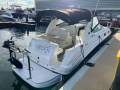Sea Ray 315 Sundancer