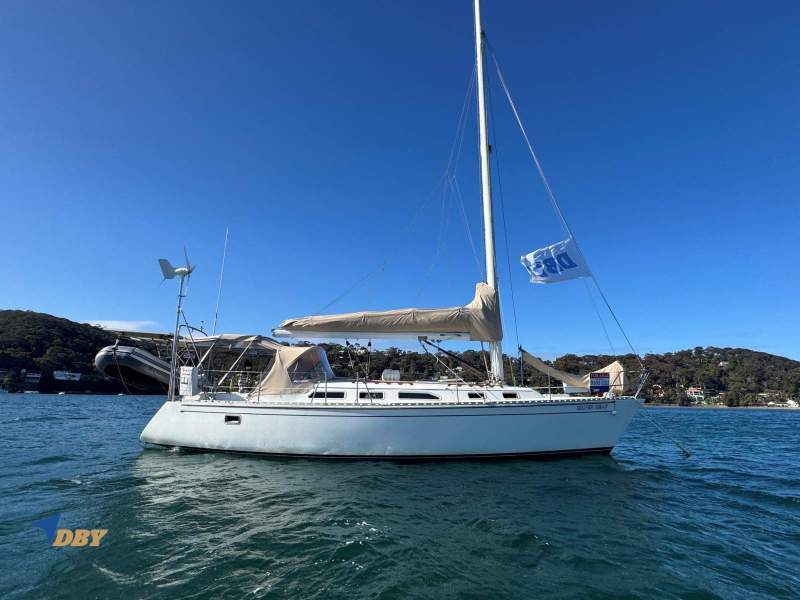 Freedom 38