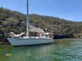 Freedom 38