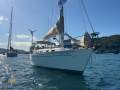 Freedom 38