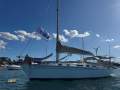 Freedom 38