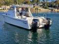 Markham Island Runner 8500 W
