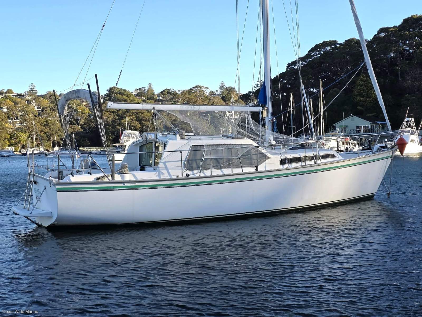 Zeston 36