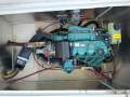 Zeston 36