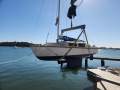 Castle Marine - Vivacity