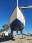 Castle Marine - Vivacity
