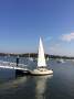 Castle Marine - Vivacity