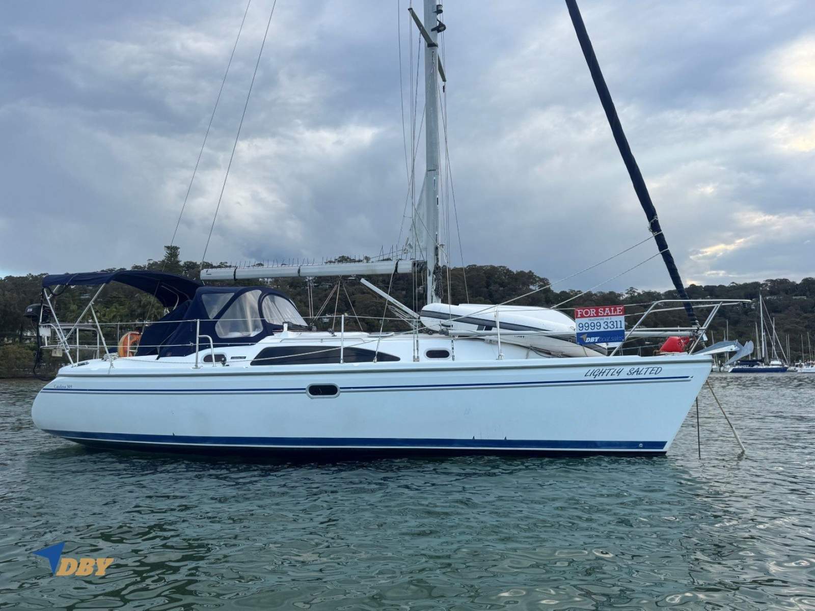 Catalina 309