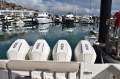Boston Whaler 380 Realm