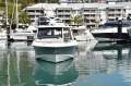 Boston Whaler 380 Realm