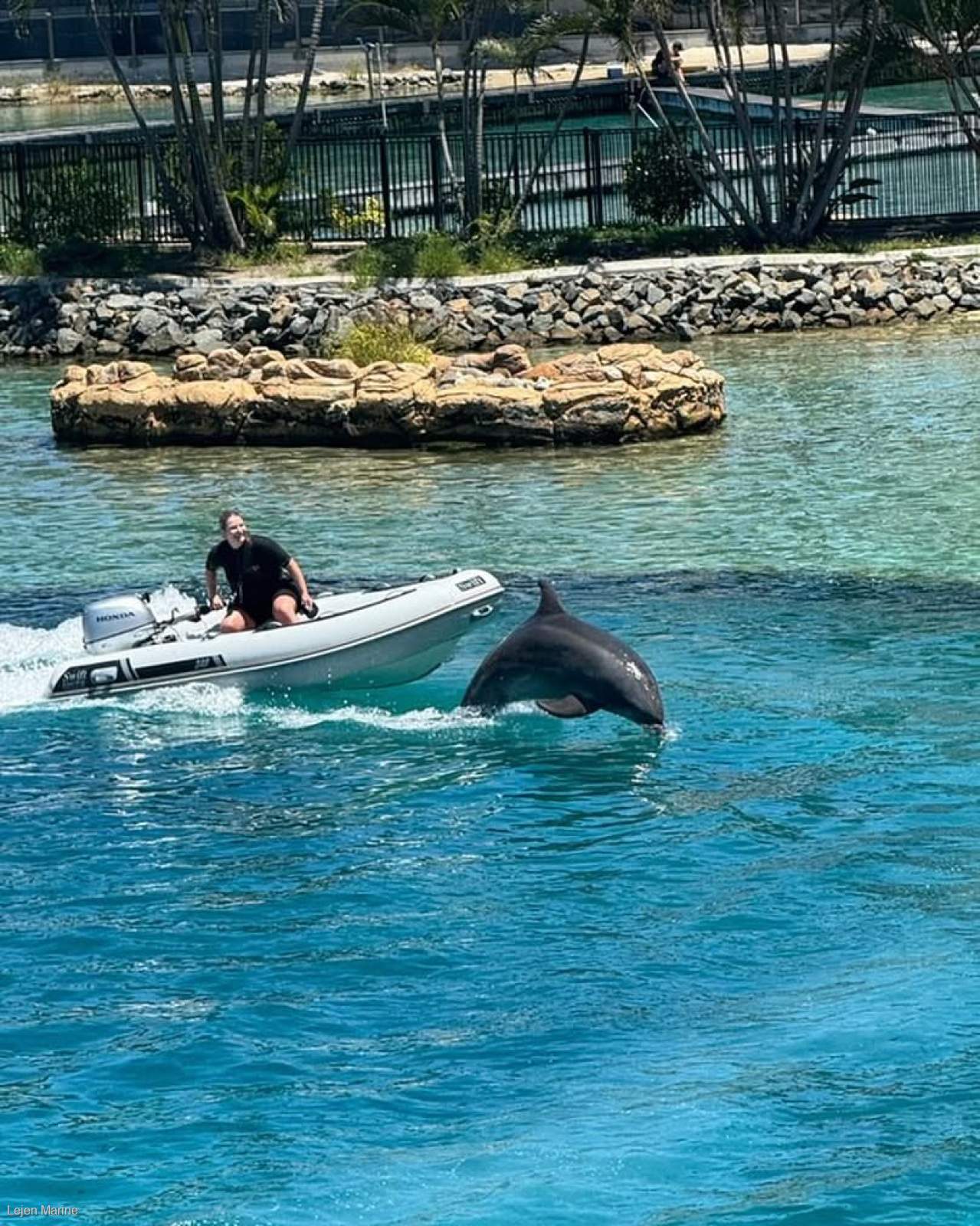 Swift Marine Deluxe 310