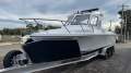 White Pointer 263